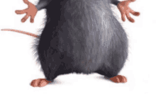 a cartoon rat is standing with its arms outstretched on a white background