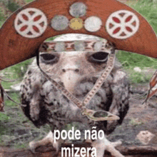 a bird wearing a hat with the words pode não mizera on it