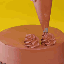 a chocolate cake with swirls of frosting on top of it