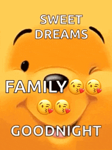 a picture of winnie the pooh with the words sweet dreams family goodnight written on it