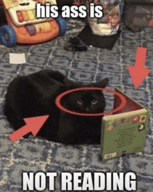 a black cat is laying on the floor next to a book which says his ass is not reading