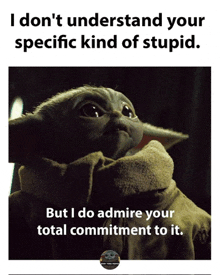 a baby yoda says i don 't understand your specific kind of stupid