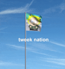 a flag with a picture of a cartoon character and the words tweek nation below it