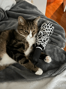 a cat laying on a blanket with an umbrella