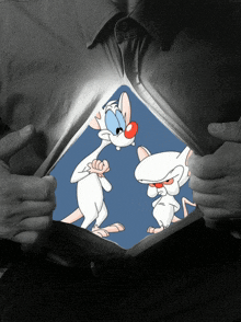 a man is ripping his shirt open to reveal pinky and the brain cartoon