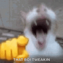 a cat with its mouth open and a yellow fist pointing at it with the words that boi tweakin