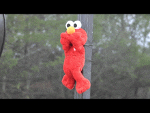 elmo stuffed animal is hanging from a pole