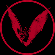 a red bat is flying in a red circle