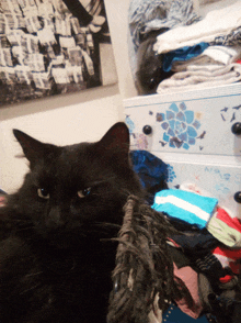 a black cat laying on a pile of clothes in front of a dresser