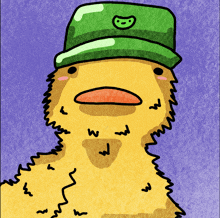 a cartoon of a duck wearing a green hat