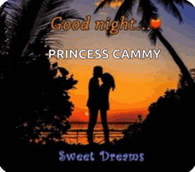 a couple kissing in front of a sunset with the words `` good night princess cammy sweet dreams '' .