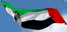 a flag of the united arab emirates is waving in the wind