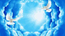 two white doves are flying in a blue sky