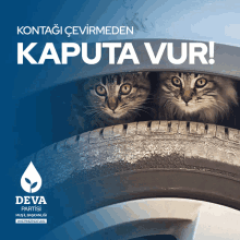 two cats sticking their heads out of a tire with a deva partisi logo on the bottom