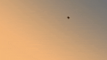 a silhouette of a bird flying in the sky at sunset