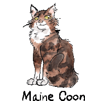 a drawing of a cat with the name maine coon written below it