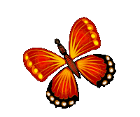 a butterfly with red and yellow wings is flying in the air