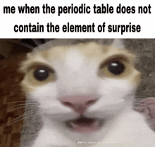 Surprise Periodic Table Meme