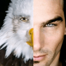 half a bald eagle and half a man 's face are shown side by side