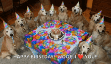 a group of dogs wearing party hats are sitting around a birthday cake