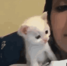 a white kitten is sitting on a woman 's shoulder .