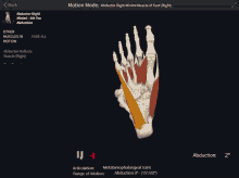 a computer screen shows a hand with muscles and bones and says motion mode at the top