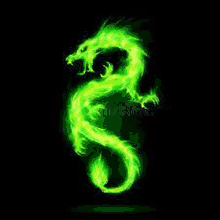 a green dragon on a black background with a fire tail .