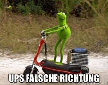 kermit the frog is riding a scooter on a dirt road and says ups falsche richtung .