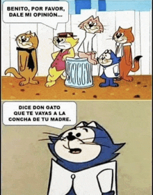 benito por favor dale mi opinion dice don gato que te vayas a la concha de tu padre