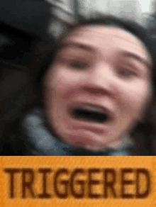 a blurry picture of a woman 's face with the word triggered in the corner