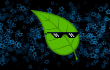 a green leaf wearing sunglasses surrounded by blue stars on a black background