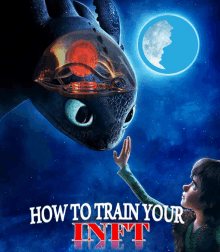 a poster for how to train your inft shows toothless and hiccup