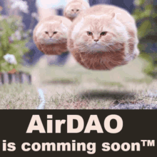 three cats are flying through the air with the words airdao is coming soon tm below them