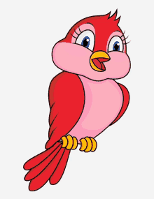 a red and pink bird with a yellow beak