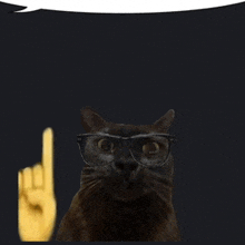 a cat wearing glasses and a yellow hand pointing up