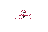 a logo for a studio called noor zabel