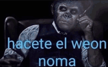 a monkey is sitting in a chair with the words hacete el weon noma written above him .