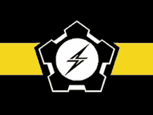 a black and yellow flag with a white lightning bolt in a circle .