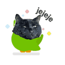 a black cat is wearing a green sweater and says jeje