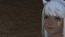 a girl with white hair and cat ears is holding a spray can