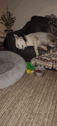 a dog is sleeping on a couch next to a bowl of dog food