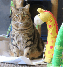 a cat sitting next to a stuffed giraffe with a green tongue sticking out