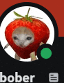 a cat is sitting inside of a strawberry with a green circle around it .