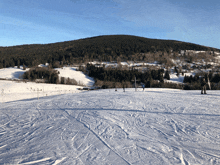 people skiing down a snow covered slope with trees in the background