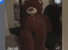 a picture of a teddy bear with the name jacob on the bottom right