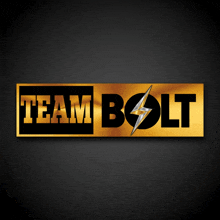 a gold and black logo for team bolt