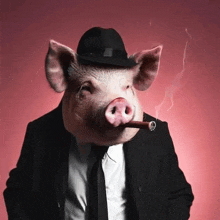 a pig wearing a suit and hat smoking a cigar