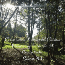 a picture of a forest with the words el que habita al abrigo del altisimo morara bajo la sombra del omnipotente salmos 91