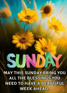 a sunday greeting with flowers and the words " may this sunday bring you all the blessings you need to have a beautiful week ahead