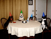 four dogs wearing party hats sit around a table